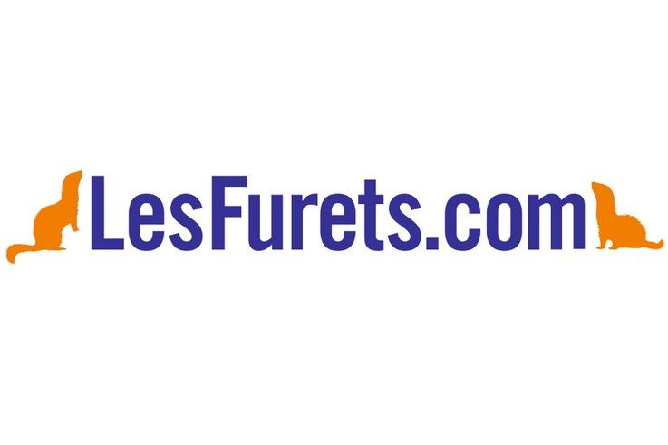 les furets : comparateur assurance camping car